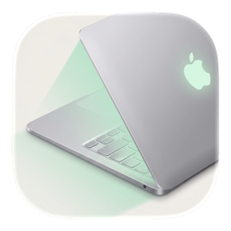 Shiny app icon