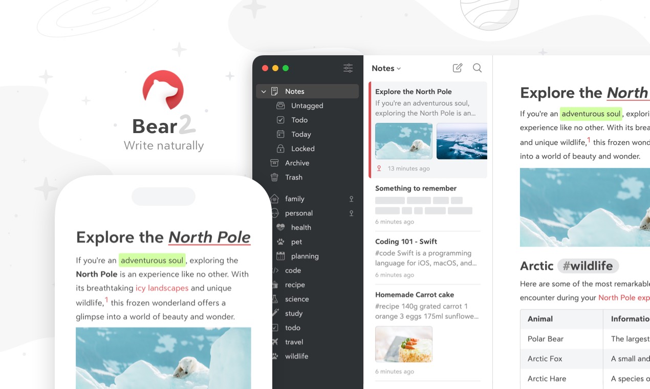 Bear marketing image